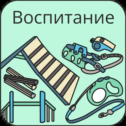 Услуги для животных