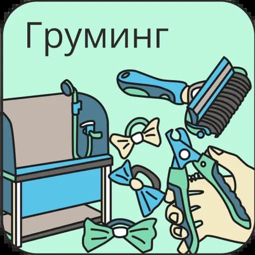 Услуги для животных