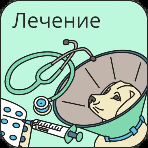 Услуги для животных