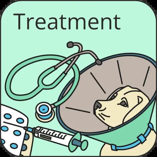 Pets & Animals